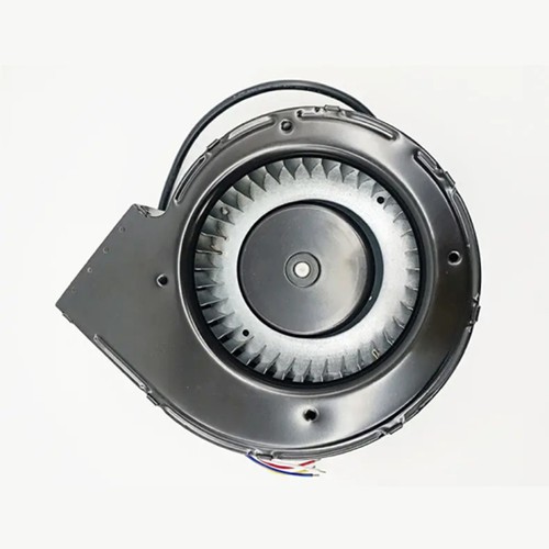 Volute Volute